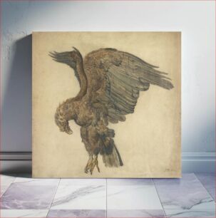 Πίνακας, Study of a Plunging Eagle