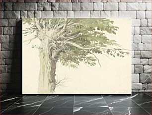 Πίνακας, Study of a Pollarded Tree - a Willow