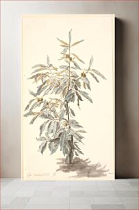 Πίνακας, Study of a small chestnut tree by P. C. Skovgaard