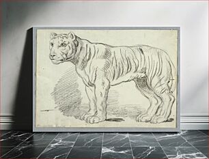 Πίνακας, Study of a Tiger