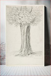 Πίνακας, Study of a Tree; verso: Study of Houses