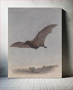Πίνακας, Study of a Vampire Bat
