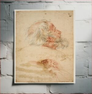 Πίνακας, Study of an old man's head, in profile t.h., somewhat from behind, and of his folded hands by unknown