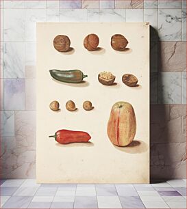 Πίνακας, Study of apple, nuts and peppers by Johanna Fosie