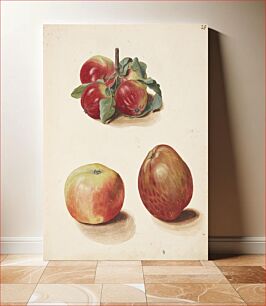 Πίνακας, Study of apples by Johanna Fosie