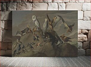 Πίνακας, Study of Birds