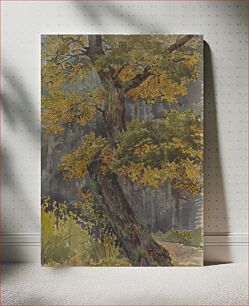 Πίνακας, Study of broadleaved tree. by Friedrich Carl von Scheidlin