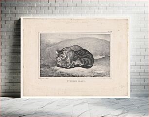 Πίνακας, Study of Cats by Antoine-Louis Barye