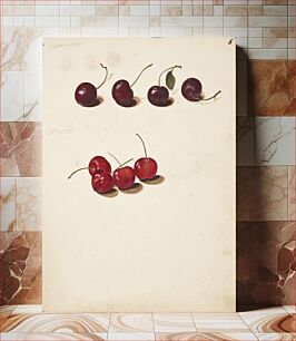 Πίνακας, Study of cherries by Johanna Fosie
