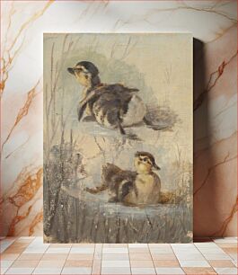 Πίνακας, Study of ducks on the water ii. by Friedrich Carl von Scheidlin