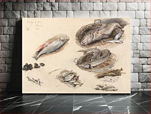 Πίνακας, Study of Fish, Venice