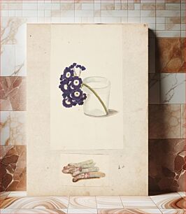 Πίνακας, Study of flower in glass with water and white asparagus by Johanna Fosie