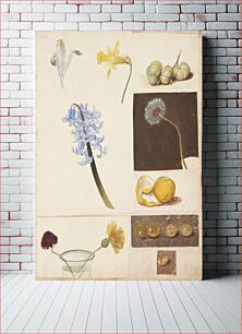 Πίνακας, Study of flowers, fruits and green tomatoes by Johanna Fosie