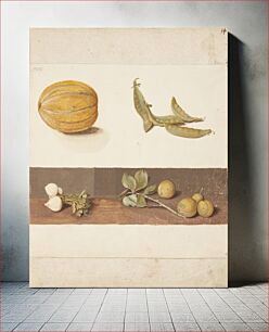 Πίνακας, Study of fruit and vegetables by Johanna Fosie