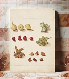 Πίνακας, Study of fruits, berries, and nuts by Johanna Fosie