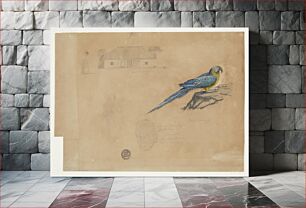 Πίνακας, Study of Guacamaya, Bogotá, Colombia, Frederic Edwin Church