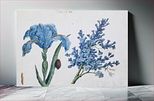 Πίνακας, Study of Iris, Lilac and Insects (Tab: No. 14)