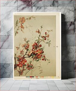 Πίνακας, Study of Japan quince