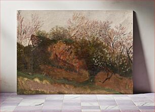 Πίνακας, Study of nature in spring by László Mednyánszky