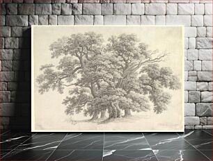 Πίνακας, Study of Oak Trees (recto) by Carl Wilhelm Kolbe