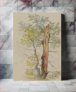 Πίνακας, Study of old and young tree by Friedrich Carl von Scheidlin