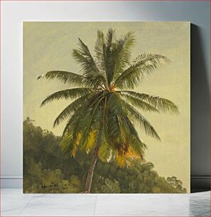 Πίνακας, Study of Palm Tree, Jamaica