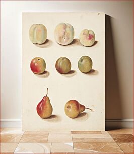 Πίνακας, Study of peach, apple and pear by Johanna Fosie
