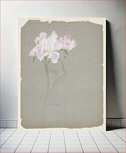 Πίνακας, Study of Peony Stalk with Blossoms, Sophia L. Crownfield