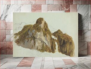 Πίνακας, Study of Rocks Covered with Seaweed