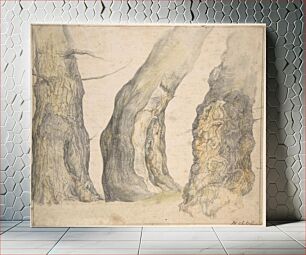 Πίνακας, Study of Three Old Gnarled Trees