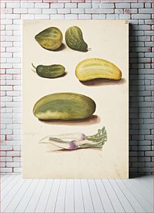 Πίνακας, Study of vegetables by Johanna Fosie