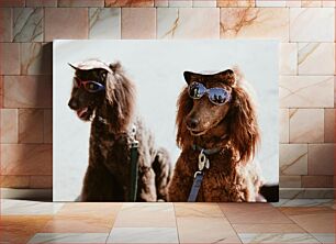 Πίνακας, Stylish Dogs with Sunglasses Κομψά σκυλιά με γυαλιά ηλίου