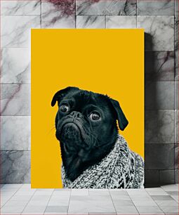 Πίνακας, Stylish Pug Portrait Κομψό Πορτρέτο Pug