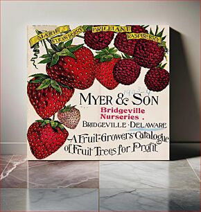 Πίνακας, Subjects: Nursery stock Delaware Bridgeville Catalogs; Fruit trees Seedlings Catalogs; Berries Catalogs (1904)