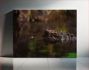 Πίνακας, Submerged Crocodile Βυθισμένος Κροκόδειλος