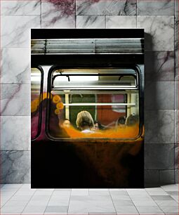 Πίνακας, Subway Reflection Μετρό Reflection