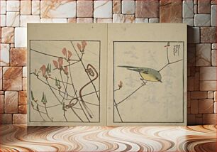 Πίνακας, Suiseki Picture Album, Second Series