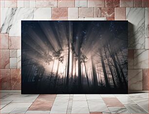 Πίνακας, Sun Rays Through Forest Ακτίνες Ήλιου Μέσα από το Δάσος