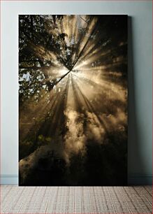Πίνακας, Sun Rays Through Trees Ακτίνες Ήλιου Μέσα από Δέντρα
