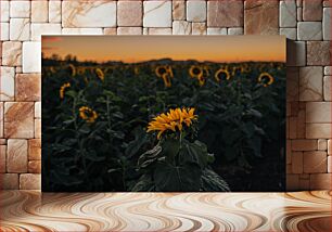 Πίνακας, Sunflower Field at Sunset Πεδίο ηλίανθου στο ηλιοβασίλεμα
