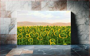 Πίνακας, Sunflower Field Ηλιοτρόπιο