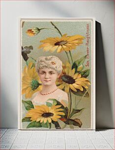 Πίνακας, Sunflower: Haughtiness, from the series Floral Beauties and Language of Flowers (N75) for Duke brand cigarettes