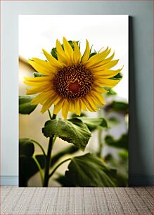 Πίνακας, Sunflower in Bloom Sunflower in Bloom