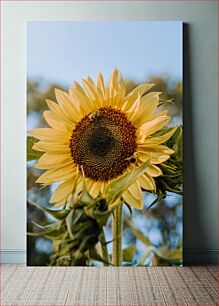 Πίνακας, Sunflower with Bees Ηλίανθος με μέλισσες