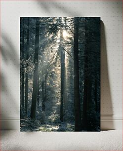 Πίνακας, Sunlight in the Forest Φως του ήλιου στο δάσος