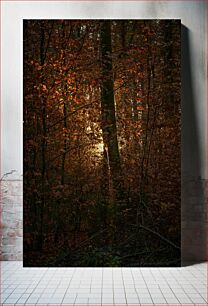 Πίνακας, Sunlight Through Autumn Forest Το φως του ήλιου μέσα από το φθινοπωρινό δάσος