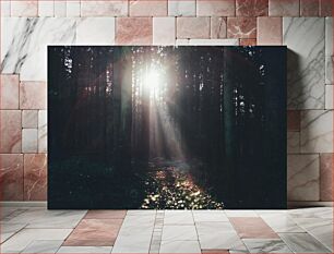 Πίνακας, Sunlight Through Forest Το φως του ήλιου μέσα από το δάσος
