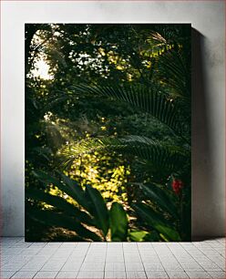 Πίνακας, Sunlight Through Jungle Foliage Το φως του ήλιου μέσα από το φύλλωμα της ζούγκλας