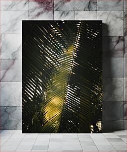 Πίνακας, Sunlight Through Palm Leaves Φως του ήλιου μέσα από φύλλα φοίνικα