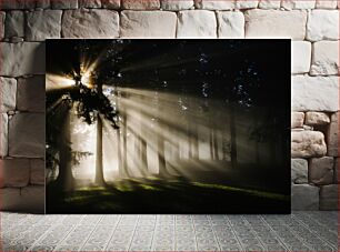 Πίνακας, Sunlight Through the Forest Το φως του ήλιου μέσα από το δάσος